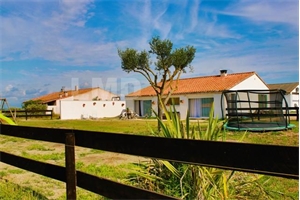 maison situee en campagne à la vente -   13200  ARLES, surface 240 m2 vente maison situee en campagne - UBI430718306